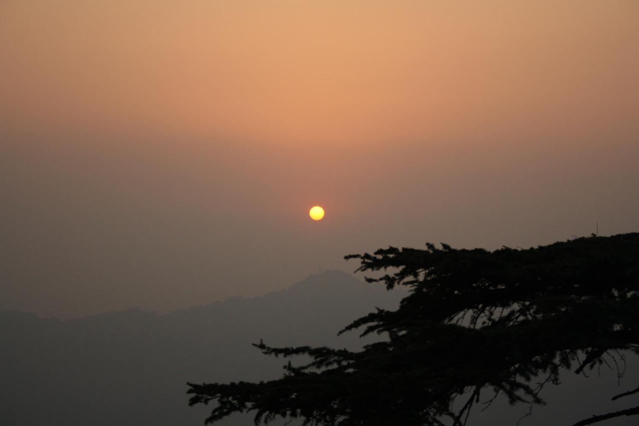 Honeymoon Inn Shimla Extérieur photo